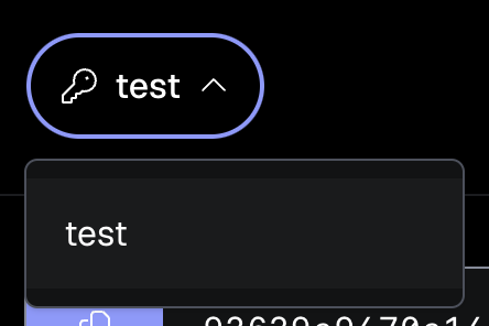 The API key selector