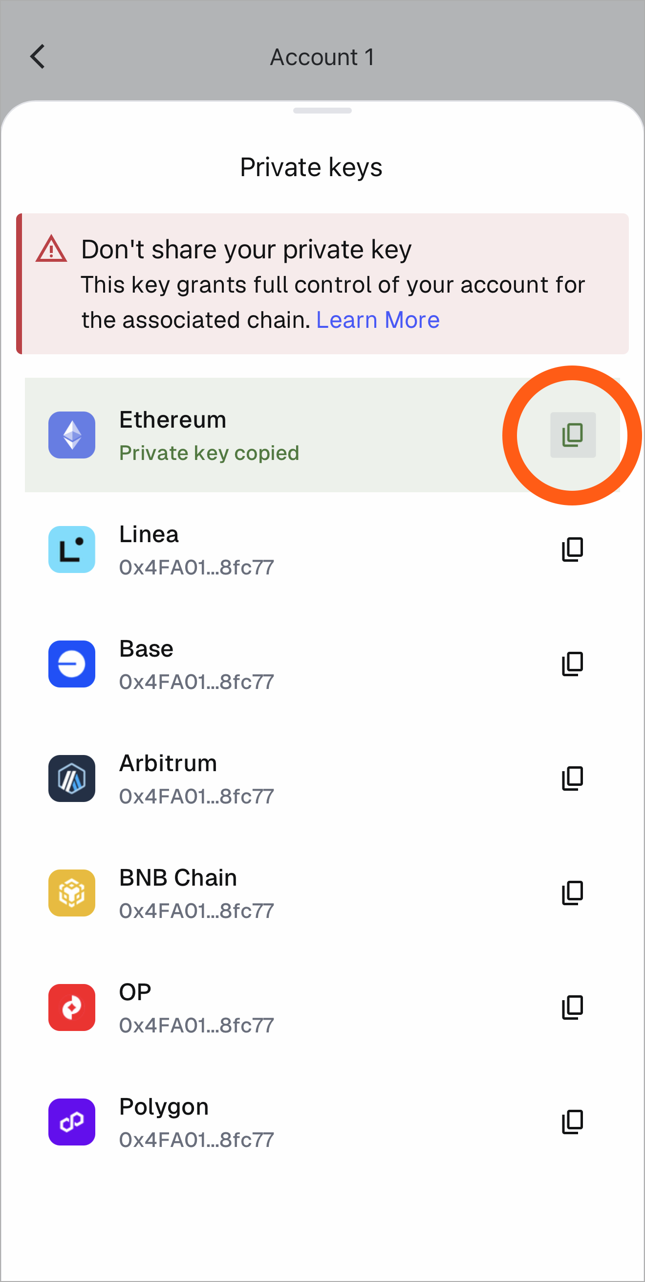MetaMask mobile copy private key icons