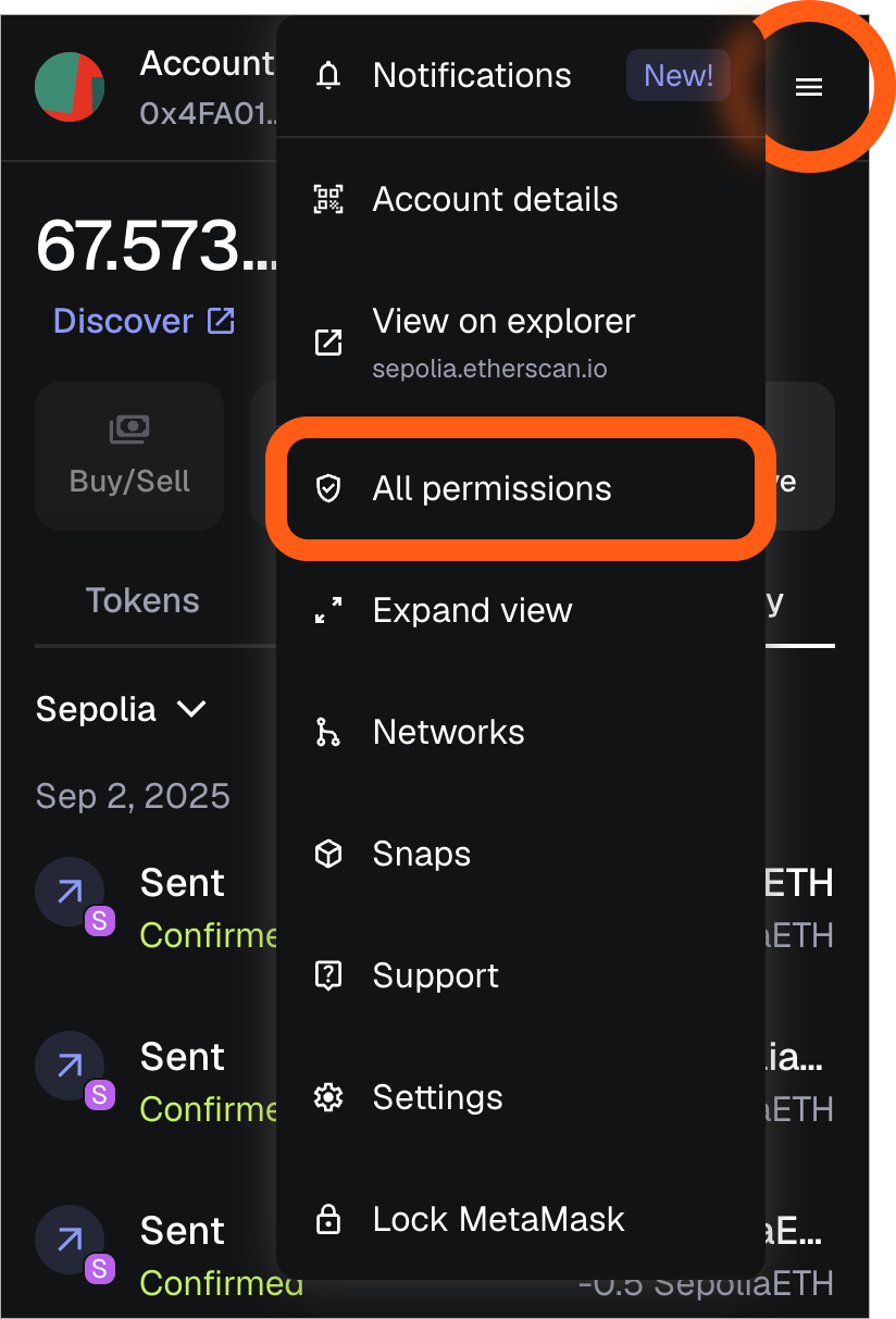 MetaMask extension locate all permissions menu