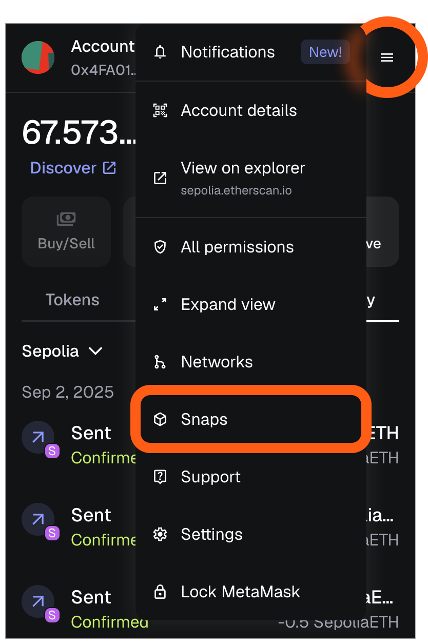 MetaMask extension locate Snaps settings