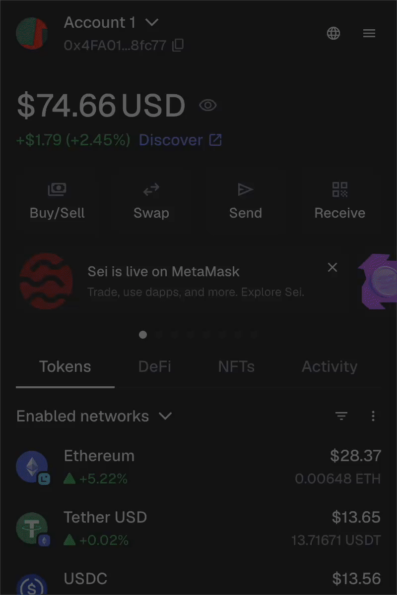 MetaMask extension locate security and privacy settings