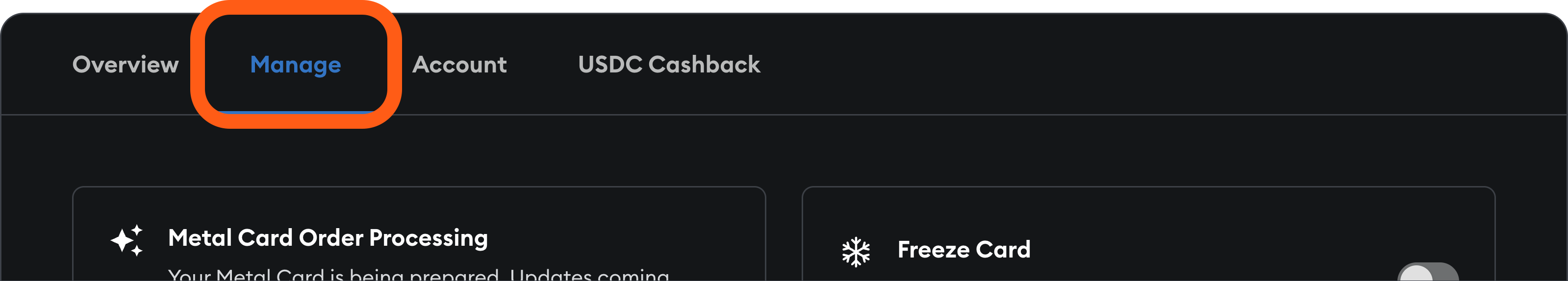MetaMask Card manage tab