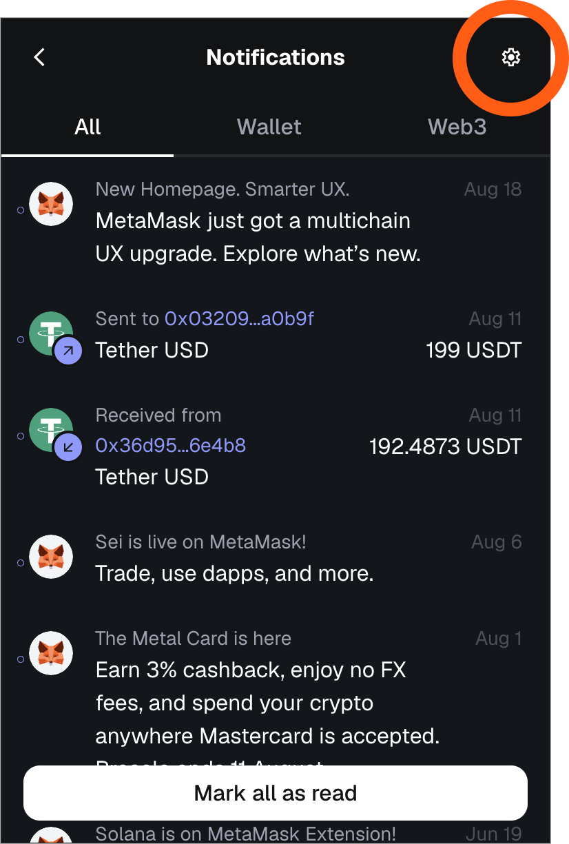 MetaMask extension locate notifications settings icon